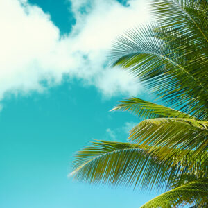 Beach accessoires