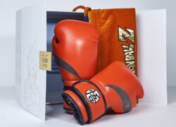 Gants PRO DBZ GOKU©